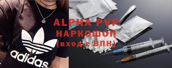spice Богданович