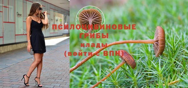 стафф Белокуриха