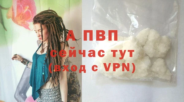 spice Богданович