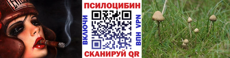 Галлюциногенные грибы ЛСД  хочу   Гулькевичи 