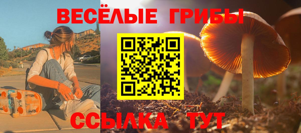 Псилоцибиновые грибы Psilocybine cubensis Гулькевичи