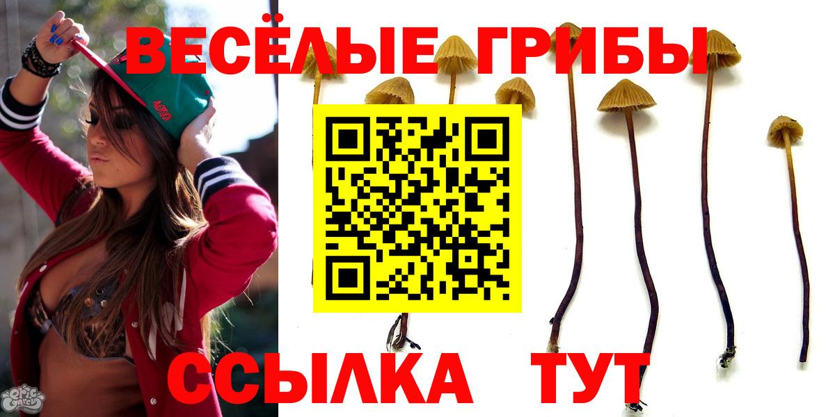 что такое наркотик  Псилоцибиновые грибы прущие грибы  Вход с VPN  Гулькевичи 