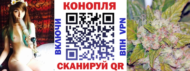 где можно купить Гулькевичи Канабис White Widow